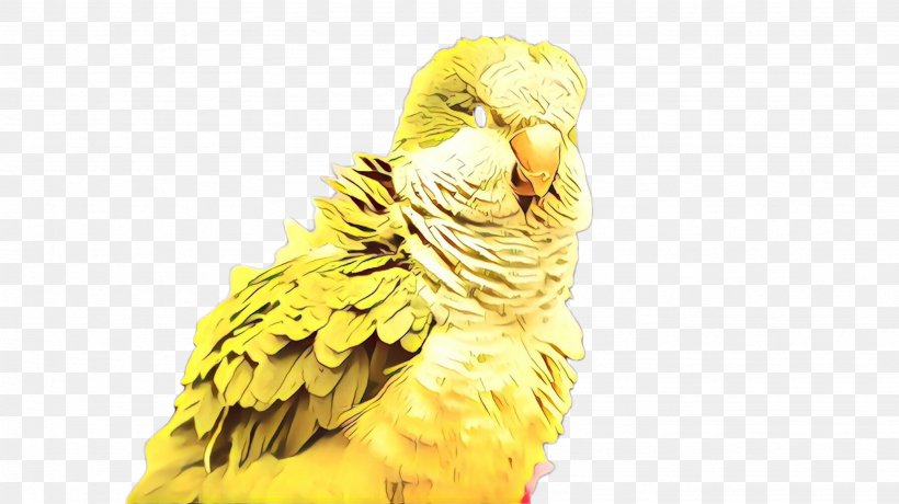 Bird Parrot, PNG, 2668x1499px, Cartoon, Beak, Bird, Budgie, Feather Download Free