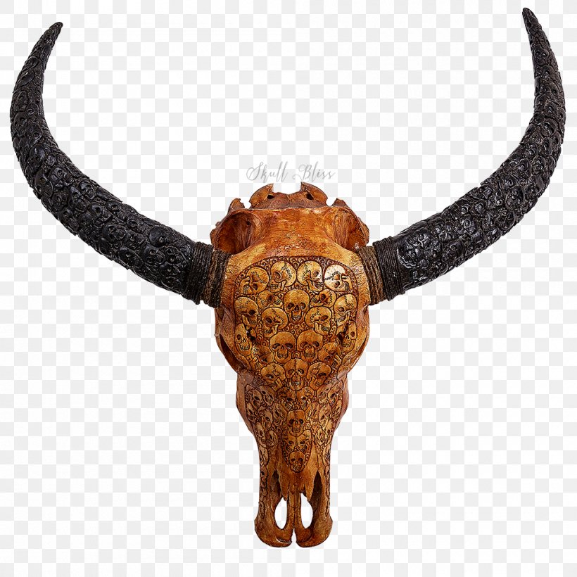 Cattle Horn Water Buffalo Skull Skeleton, PNG, 1000x1000px, Cattle, Antique, Bone, Bull, Carving Download Free