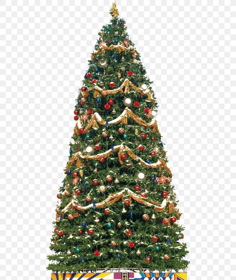 Christmas Tree New Year Tree Spruce Clip Art, PNG, 500x973px, Christmas Tree, Christmas, Christmas Decoration, Christmas Ornament, Conifer Download Free