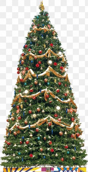 Christmas Tree New Year Christmas Decoration Clip Art, PNG, 1864x2532px ...
