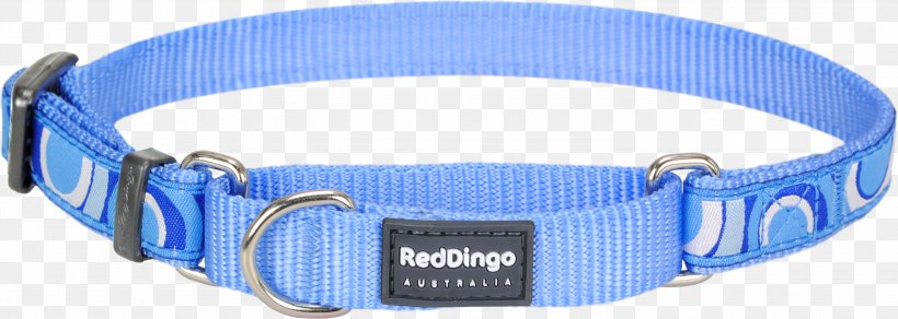 Dingo Dog Collar Martingale American Bully, PNG, 3000x1069px, Dingo, American Bully, Blue, Blue Mc, Buckle Download Free