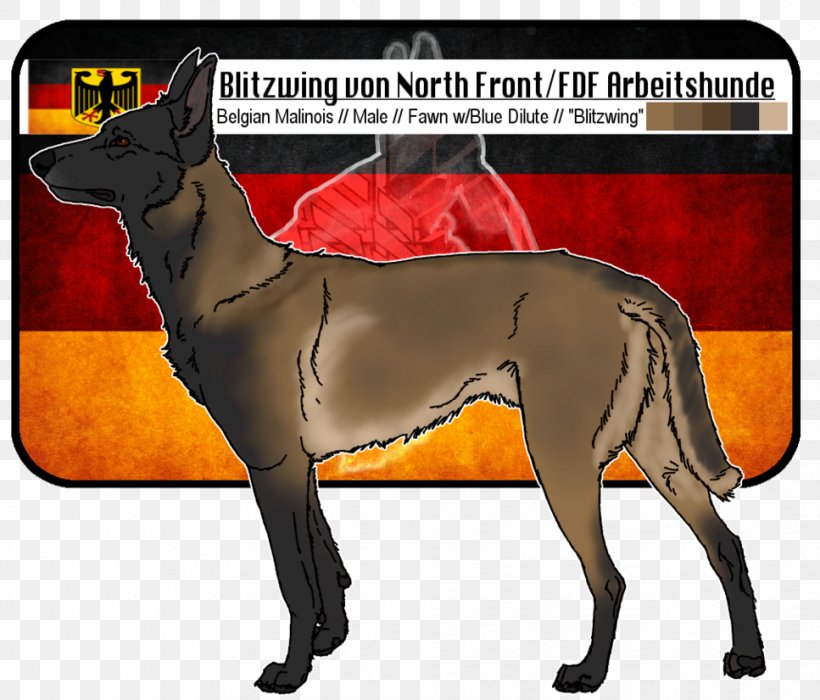 Dog Breed Italian Greyhound Malinois Dog Arbeitshund, PNG, 967x826px, Watercolor, Cartoon, Flower, Frame, Heart Download Free