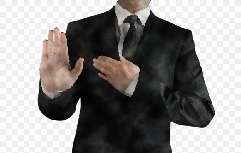 Finger Suit Hand Gesture Formal Wear, PNG, 2504x1596px, Finger, Businessperson, Formal Wear, Gesture, Hand Download Free