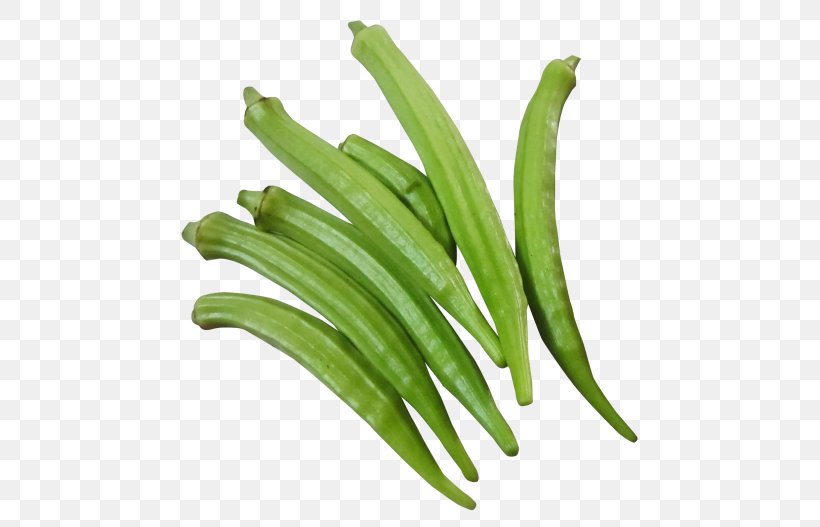 Okra Ladyfinger Vegetable Food, PNG, 500x527px, Okra, Bean, Bok Choy, Broccoli, Chinese Cabbage Download Free