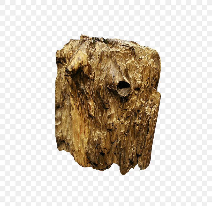 Wood Trunk, PNG, 750x797px, Wood, Artifact, Raster Graphics, Rgb Color Model, Rock Download Free