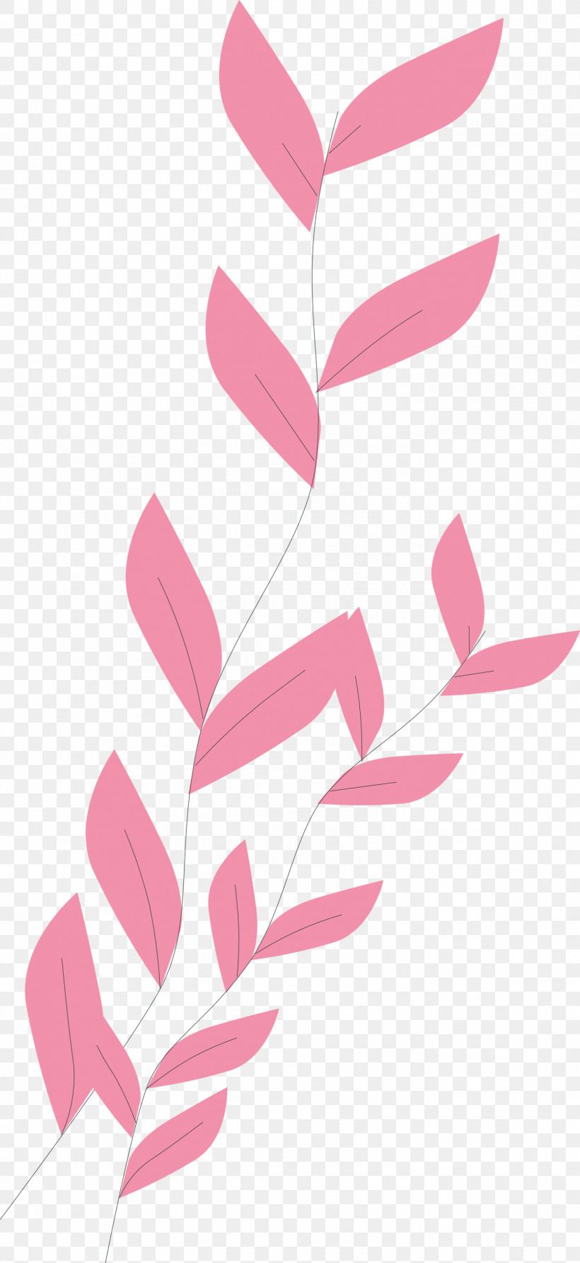 Angle Line Pink M Pattern H&m, PNG, 1379x3000px, Angle, Hm, Line, Meter, Pink M Download Free