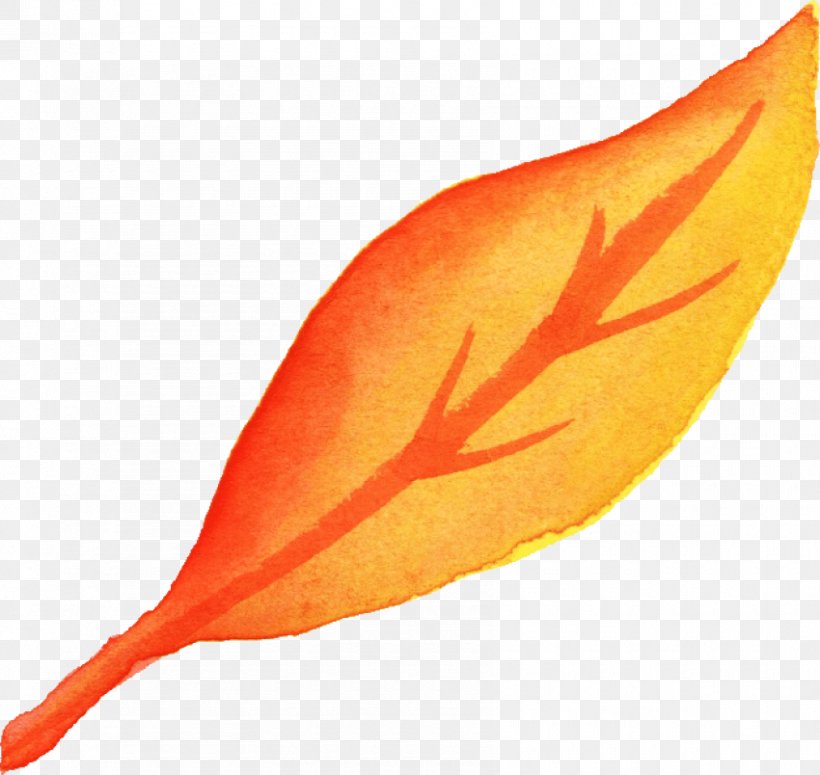 Autumn Leaf Drawing, PNG, 850x804px, Watercolor Painting, Autumn, Autumn Leaf Color, Drawing, Feather Download Free
