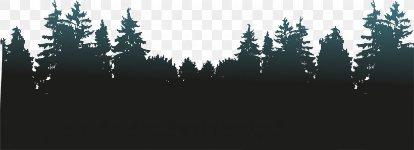 Forest Watercolor Painting, PNG, 3001x1094px, Forest, Biome, Black And White, Conifer, Grass Download Free