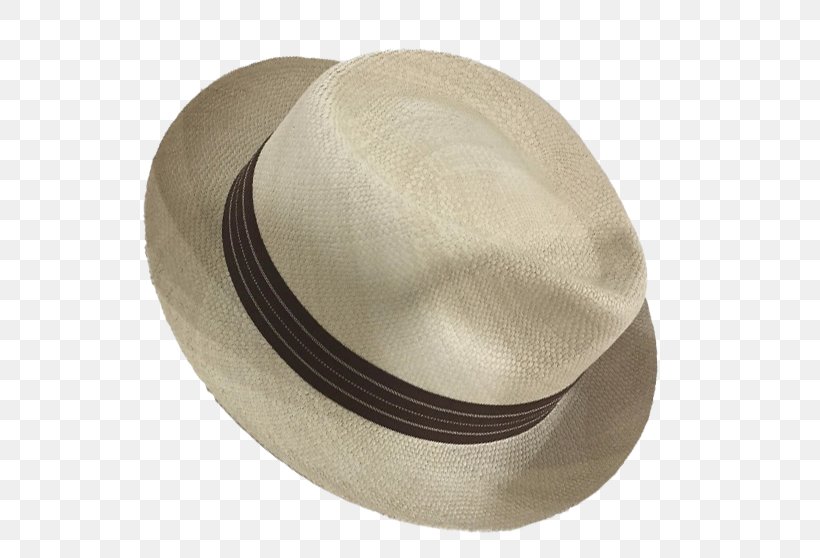 Hat, PNG, 558x558px, Hat, Headgear Download Free