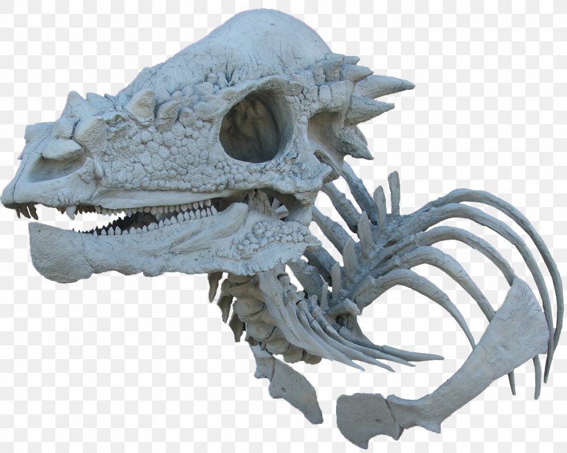 Pachycephalosaurus Triceratops Dinosaur Torosaurus Tyrannosaurus, PNG, 1920x1538px, Pachycephalosaurus, Bone, Ceratosaurus, Dinosaur, Dinosaur Revolution Download Free