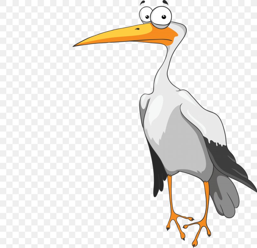 White Stork Download Bird, PNG, 1024x990px, White Stork, Beak, Bird, Ciconia, Drawing Download Free