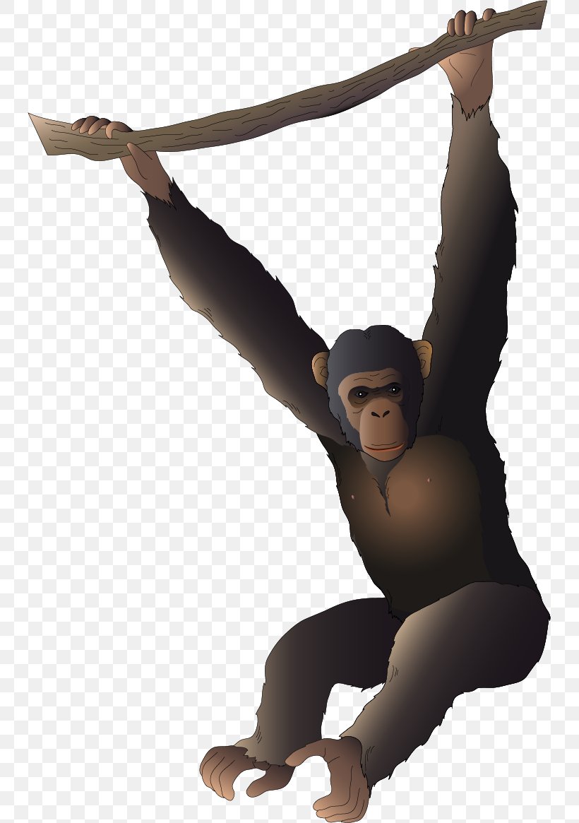 Gorilla Orangutan Gibbon Cartoon, PNG, 741x1165px, Gorilla, Ape, Arm, Cartoon, Dancer Download Free