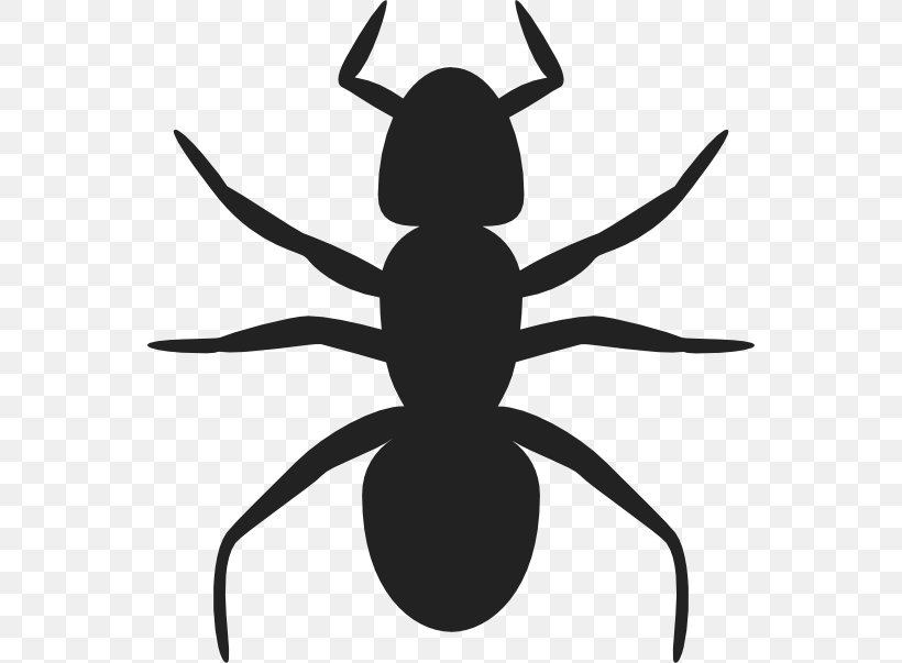 Ant Clip Art, PNG, 552x603px, Ant, Arthropod, Artwork, Black And White, Black Garden Ant Download Free