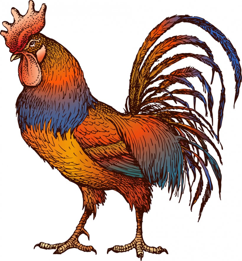 Chicken Rooster Clip Art, PNG, 947x1024px, Chicken, Animation, Beak, Bird, Devil Download Free