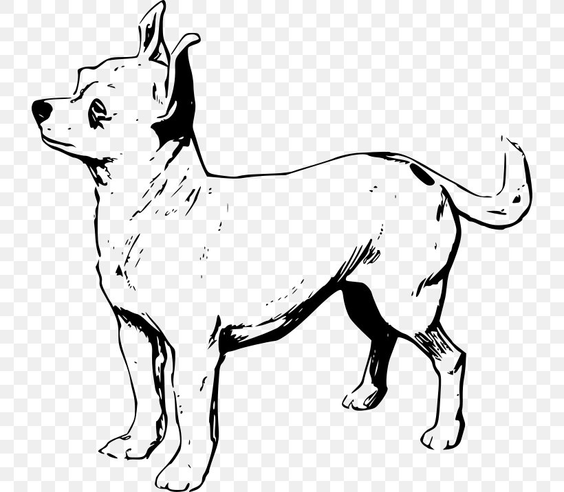 Chihuahua Puppy Line Art Drawing Clip Art, PNG, 728x716px, Chihuahua, Art, Artwork, Black And White, Carnivoran Download Free