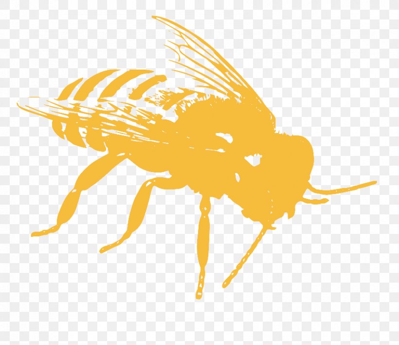 Honey Bee Pollinator Pollination, PNG, 850x734px, Honey Bee, Arthropod, Bee, Conservation, Directory Download Free