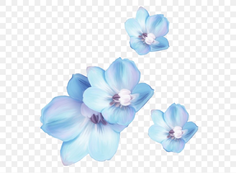 Mallows Cut Flowers Petal, PNG, 600x601px, Mallows, Blue, Cut Flowers, Family, Flower Download Free