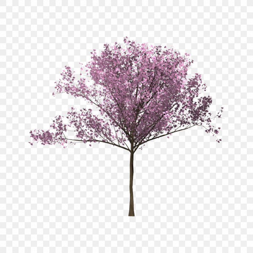Tree Cherry Blossom Twig Branch, PNG, 900x900px, Tree, Animation, Arecaceae, Blossom, Branch Download Free