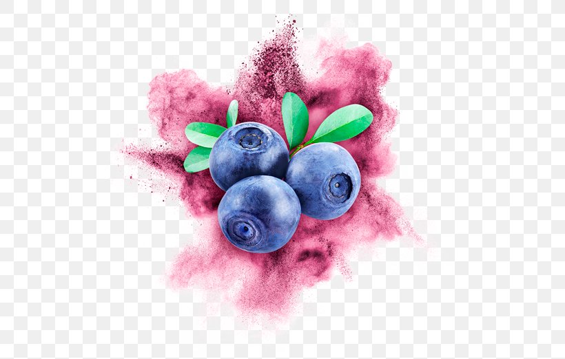 United States Bilberry Cry Baby Photography Desktop Wallpaper, PNG, 524x522px, United States, Berry, Bilberry, Blueberry, Blueberry Tea Download Free