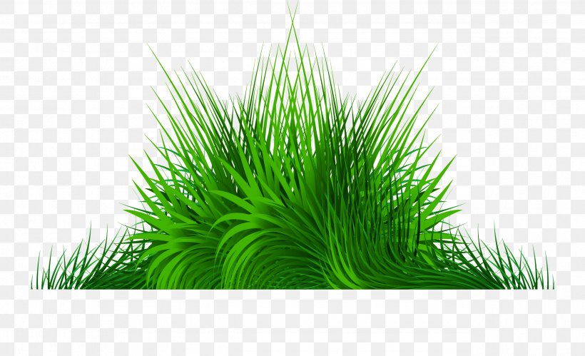 Vector Hand Painted Green Grass, PNG, 2547x1552px, Green, Color, Computer Graphics, Grass, Grass Family Download Free