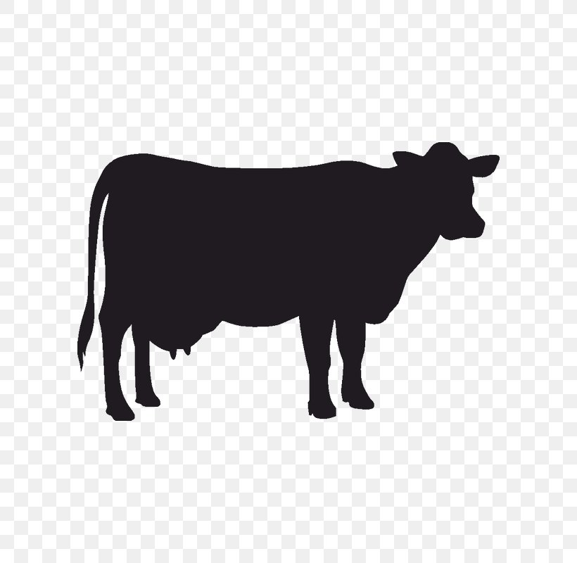Beef Cattle Dairy Cattle Holstein Friesian Cattle Sheep, PNG, 800x800px ...