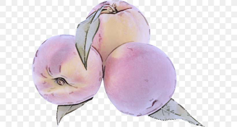 European Plum Turnip Watercolor Paint Plant Vegetable, PNG, 600x439px, European Plum, Flower, Food, Fruit, Plant Download Free