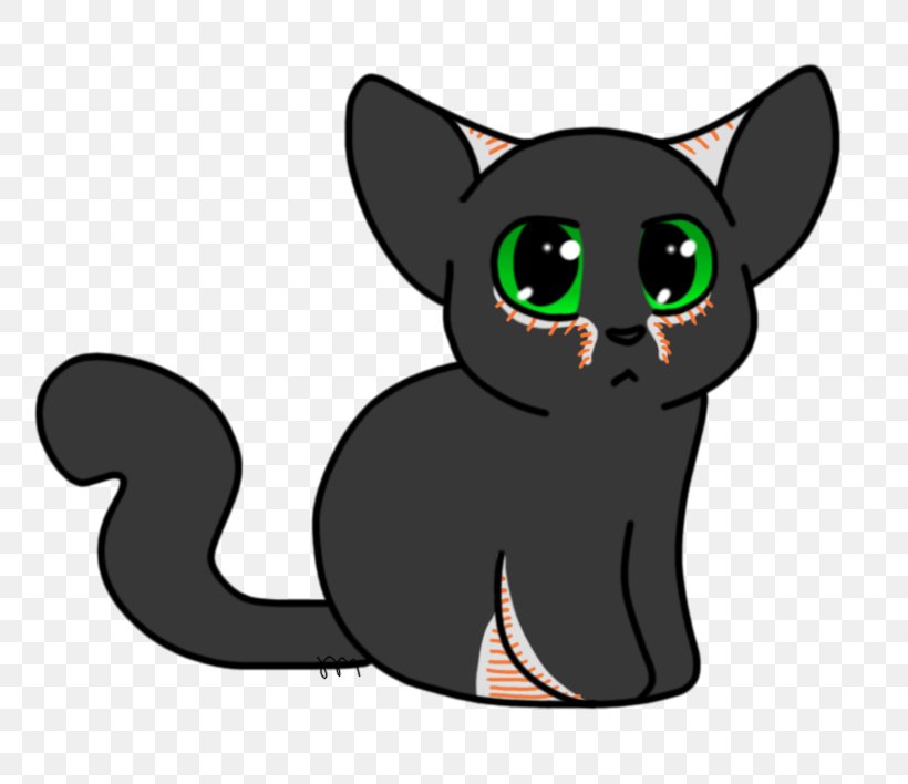 Korat Whiskers Kitten Domestic Short-haired Cat Black Cat, PNG, 816x708px, Korat, Black, Black Cat, Black M, Carnivoran Download Free