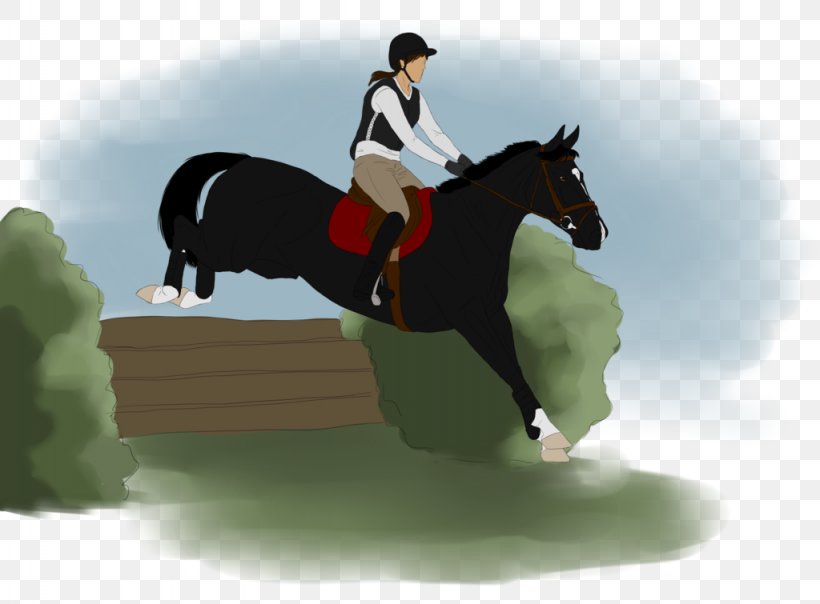 Show Jumping Stallion Hunt Seat Eventing Rein, PNG, 1024x755px, Show Jumping, Animal Sports, Bridle, Cross Country Equestrianism, Crosscountry Equestrianism Download Free