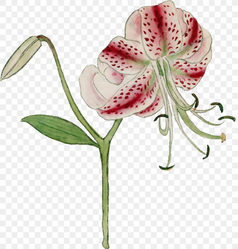 Watercolor Pink Flowers, PNG, 2864x3000px, Watercolor, Amaryllis Belladonna, Anthurium, Cut Flowers, Flower Download Free