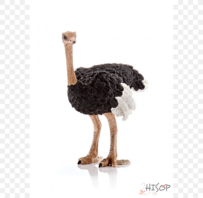 Common Ostrich Toy Schleich Emu Barbie, PNG, 800x800px, Common Ostrich, Animal, Barbie, Beak, Bird Download Free