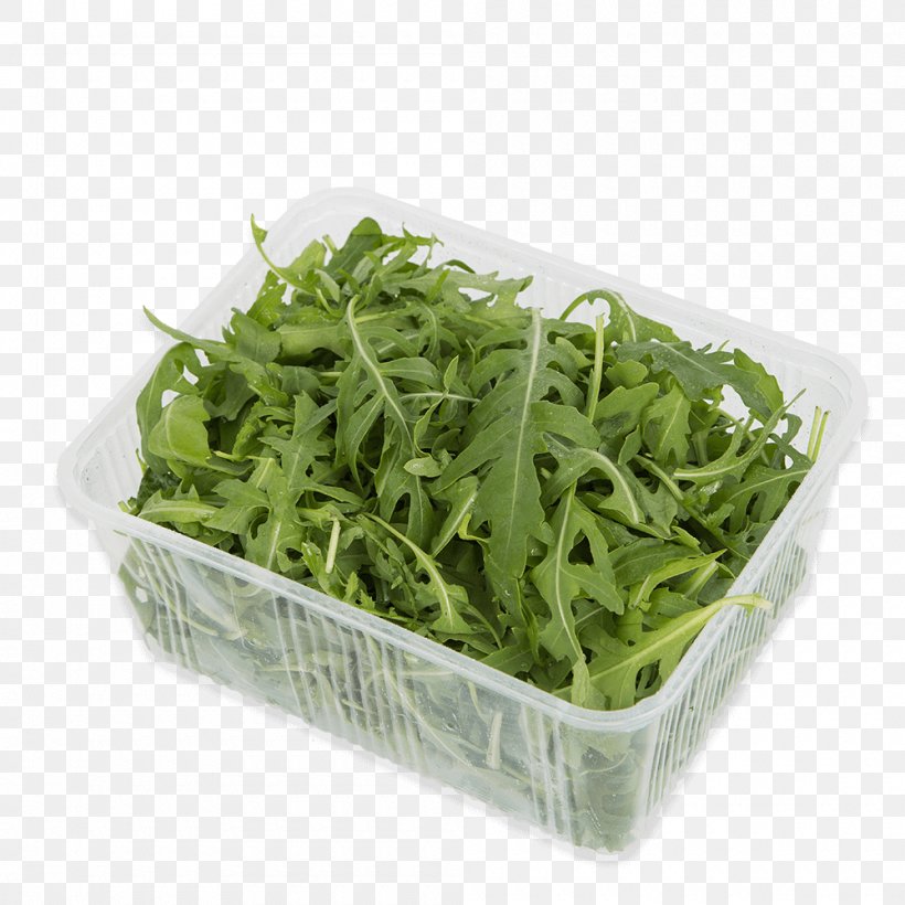 Lettuce Spring Greens Herb, PNG, 1000x1000px, Lettuce, Greens, Herb, Leaf Vegetable, Spring Greens Download Free
