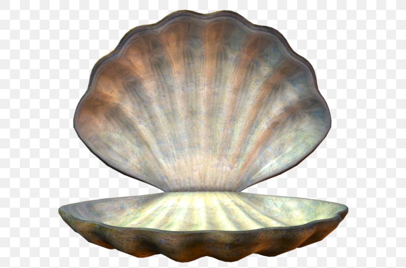 Mollusc Shell Woman Animaatio Image Hosting Service, PNG, 600x542px, Mollusc Shell, Animaatio, Blog, Bowl, Child Download Free