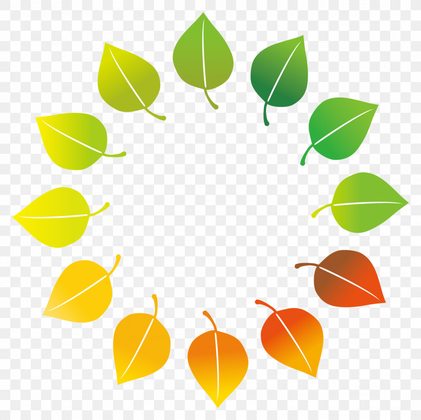 Orange, PNG, 1600x1600px, Leaf, Citrus, Line, Orange, Plant Download Free