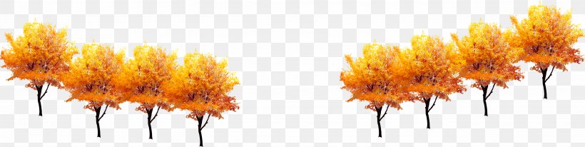Tree Computer File, PNG, 5291x1330px, Tree, Autumn, Branch, Christmas Decoration, Christmas Tree Download Free