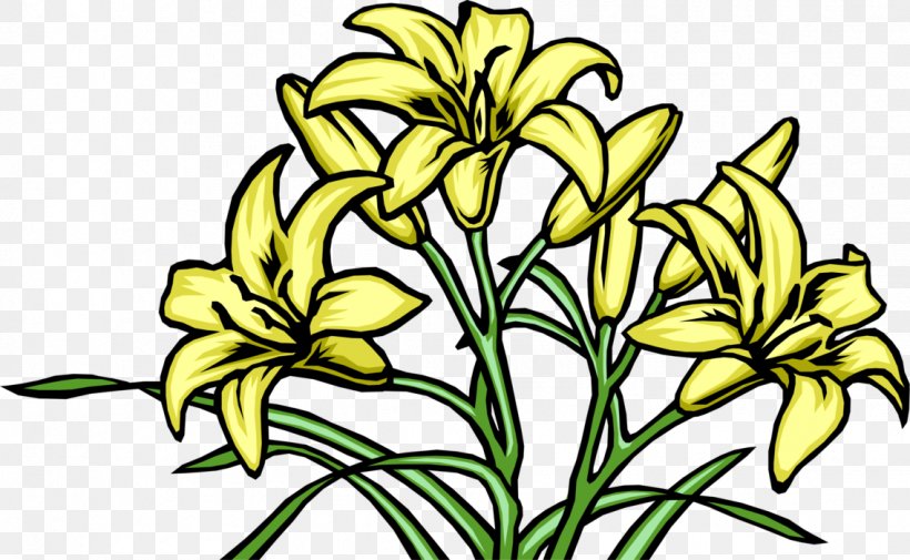 Vector Graphics Floral Design Flower Lily, PNG, 1136x700px, Floral Design, Botany, Cut Flowers, Daylily, Flower Download Free