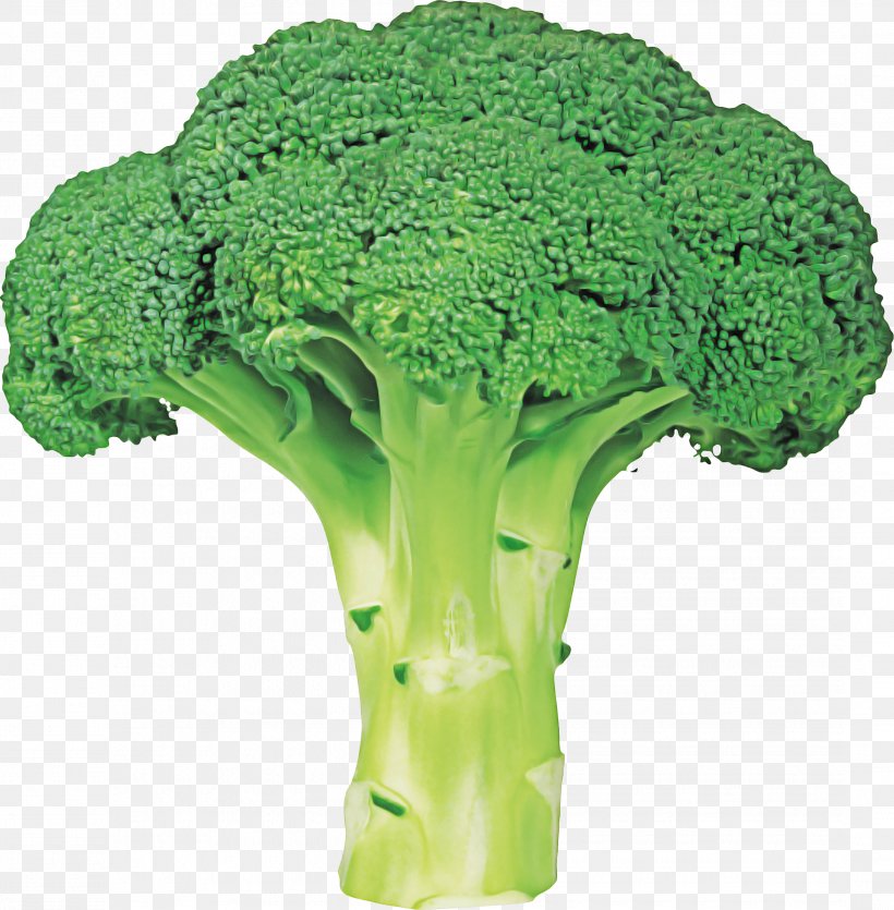 Vegetables Cartoon, PNG, 2165x2205px, Italica Group, Broccoflower, Broccoli, Broccoli Slaw, Cabbage Download Free