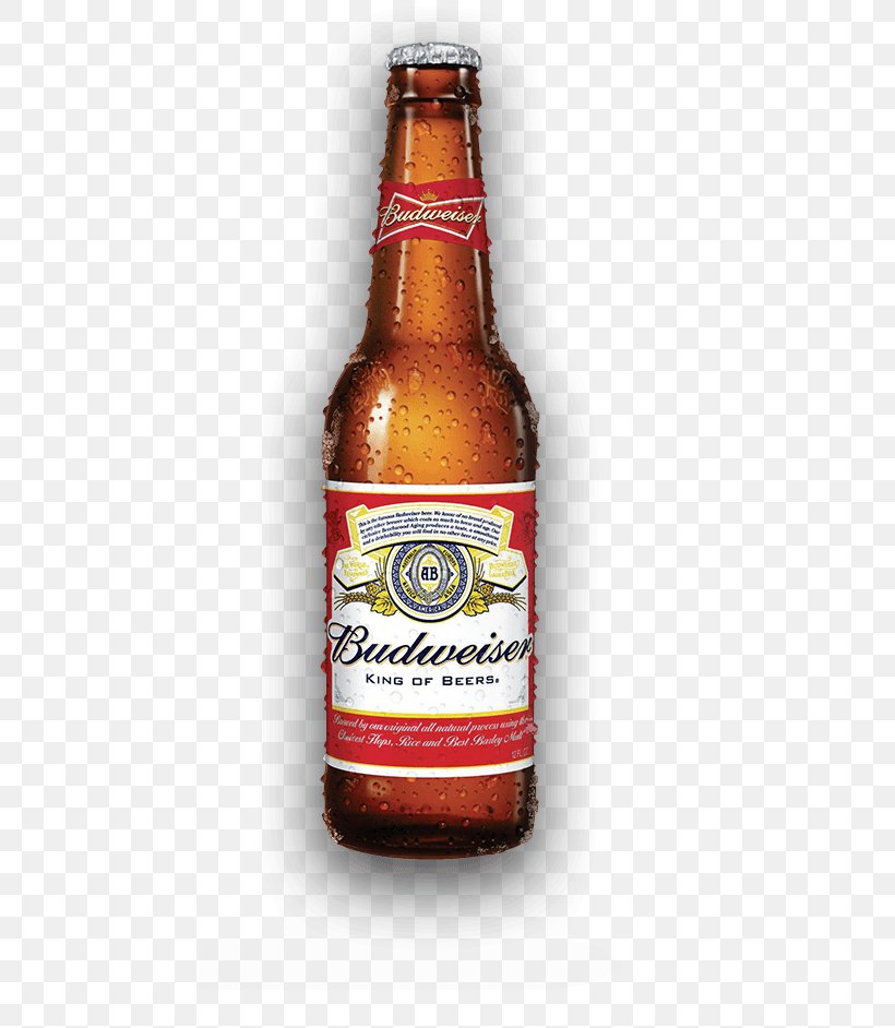 Budweiser Beer Anheuser-Busch Lager Bottle, PNG, 456x942px, Budweiser, Alcohol By Volume, Alcoholic Beverages, Ale, Anheuserbusch Download Free