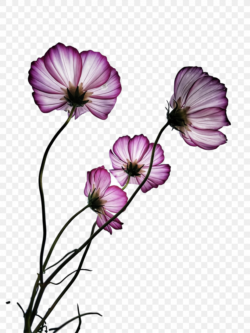 Flower Bouquet, PNG, 2250x3000px, Mourning, Danksagung, Drawing, Flower, Flower Bouquet Download Free