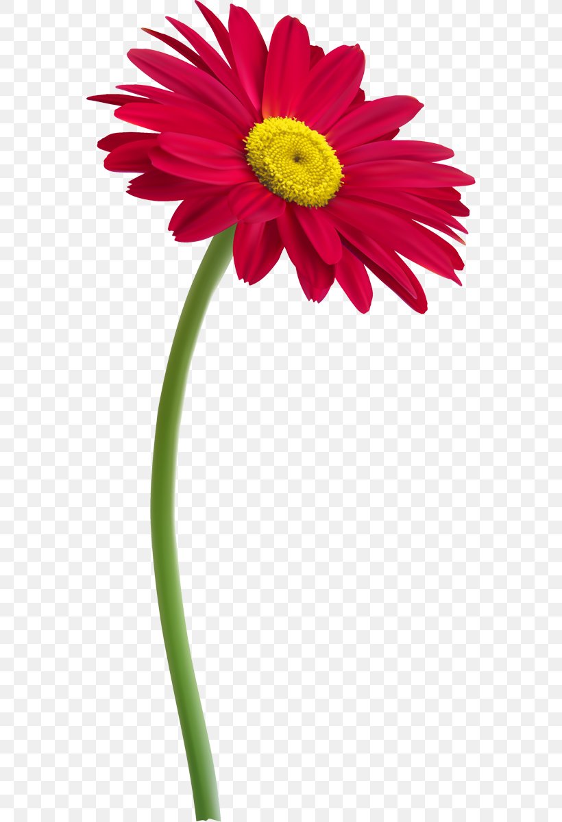 Flower Plant Stem Clip Art, PNG, 568x1200px, Flower, Annual Plant, Artificial Flower, Arumlily, Common Daisy Download Free