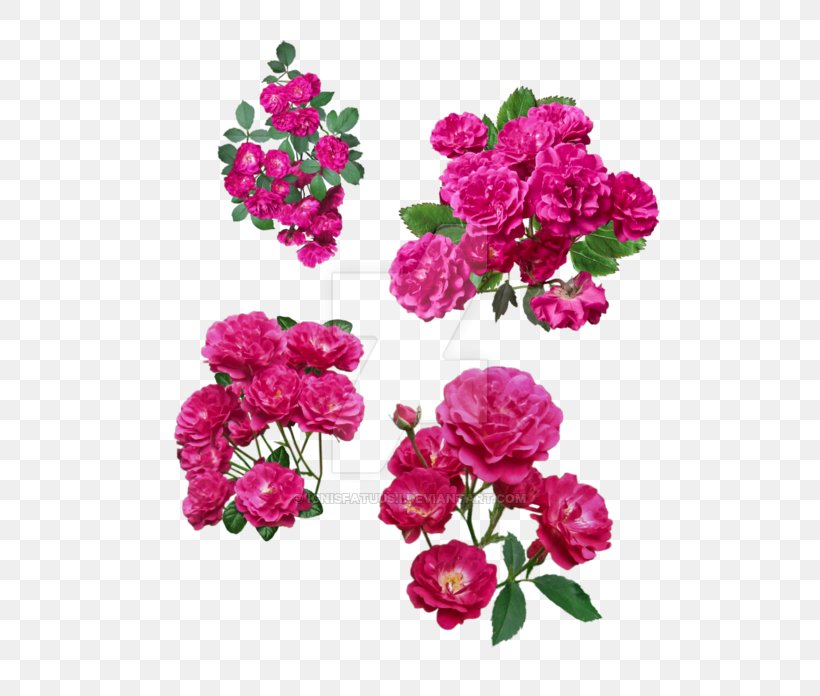 Garden Roses Floribunda Cabbage Rose Shrub Flower, PNG, 600x696px, Garden Roses, Annual Plant, Art, Cabbage Rose, Cut Flowers Download Free