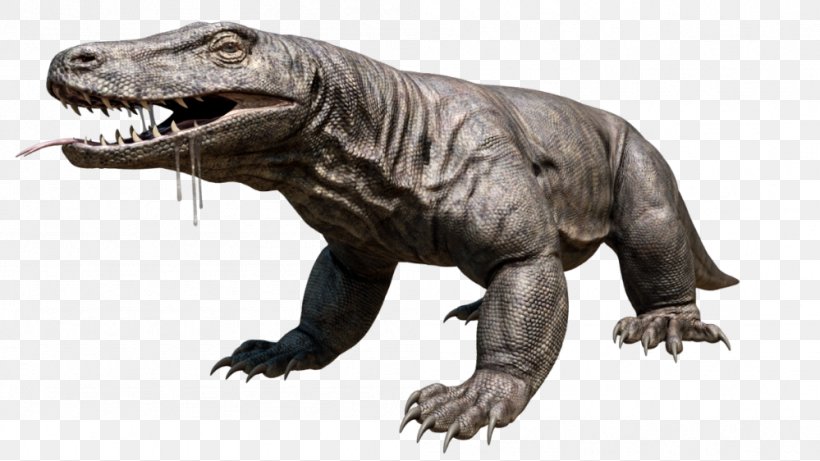 Komodo Dragon Megalania Lizard, PNG, 999x562px, Komodo Dragon, Dinosaur, Diprotodon, Dragon, Fauna Download Free
