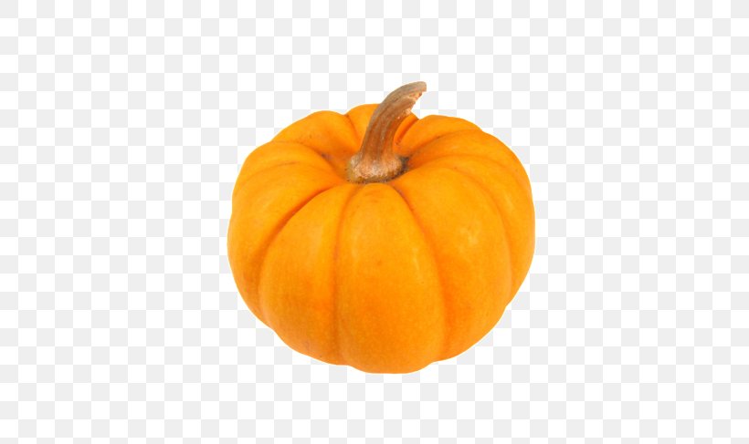 Pumpkin Calabaza Gourd Winter Squash, PNG, 650x487px, Pumpkin, Acorn Squash, Calabaza, Cucumber Gourd And Melon Family, Cucurbita Download Free