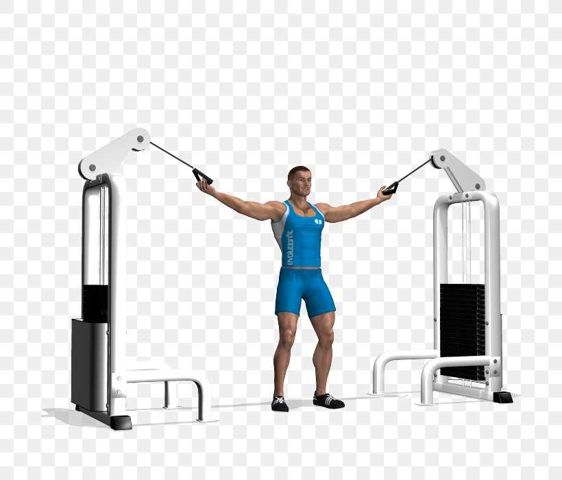Shoulder Biceps Triceps Brachii Muscle Electrical Cable, PNG, 700x700px, Shoulder, Abdomen, Arm, Balance, Biceps Download Free