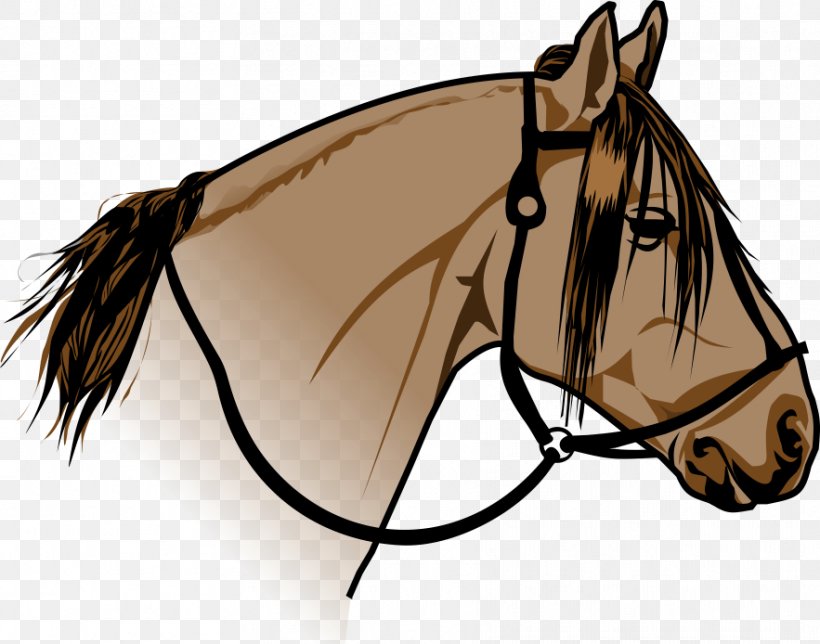 Crioulo Criollo Mustang Bridle, PNG, 883x694px, Criollo, Bridle, Drawing, Eyewear, Halter Download Free
