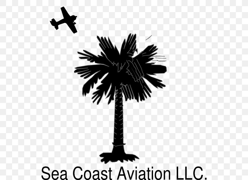 Flag Of South Carolina Sabal Palm Palm Trees Crescent, PNG, 546x595px, South Carolina, Arecales, Black And White, Branch, Crescent Download Free