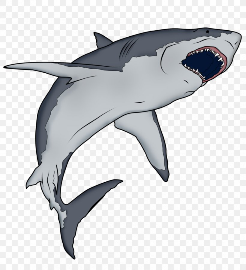 Requiem Shark Hungry Shark Evolution Cartoon, PNG, 853x936px, Requiem Shark, Animation, Automotive Design, Blue Shark, Cartilaginous Fish Download Free