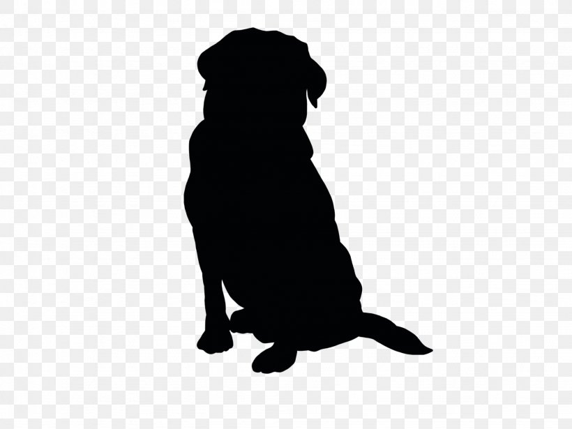 Dog Silhouette, PNG, 2048x1536px, Silhouette, Black, Canidae, Carnivore, Dog Download Free