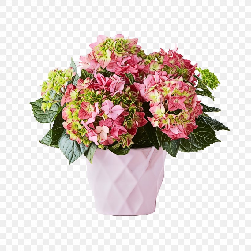 Flower Flowering Plant Bouquet Pink Plant, PNG, 1800x1800px, Watercolor, Bouquet, Cut Flowers, Floristry, Flower Download Free