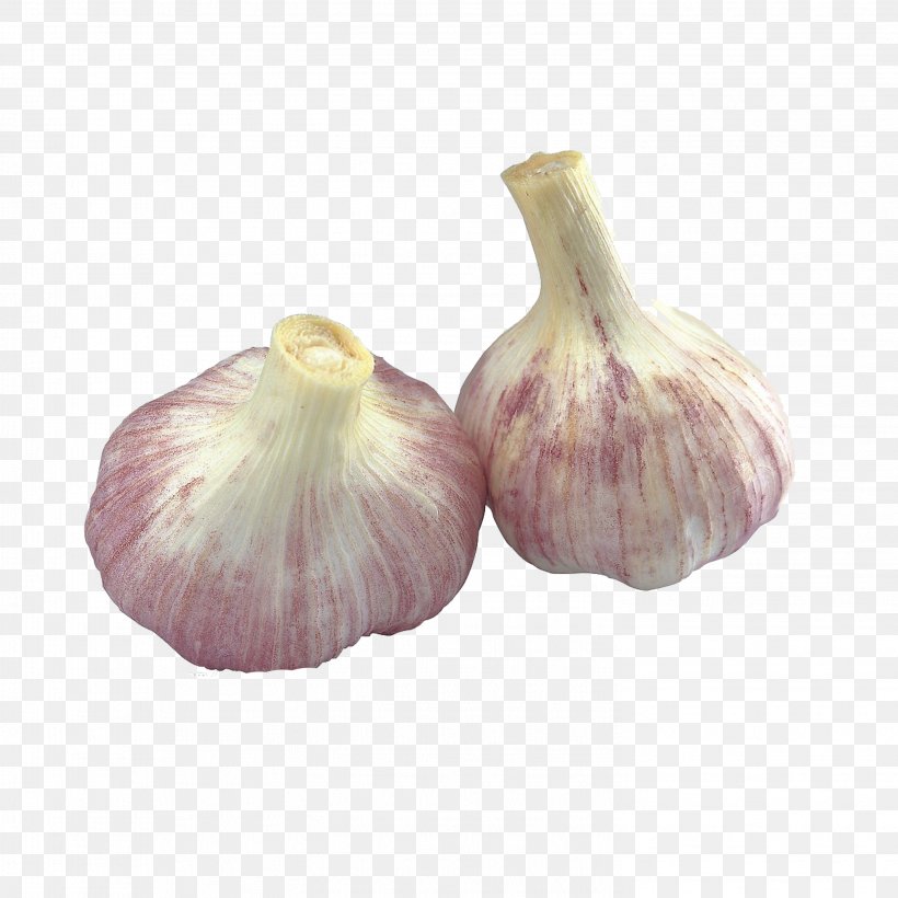 Garlic Vegetable Food Allicin Onion, PNG, 2953x2953px, Garlic, Allicin, Clove, Cooking, Eating Download Free