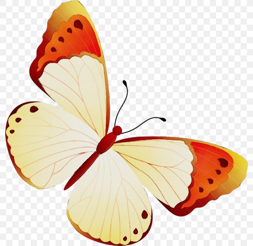 Orange, PNG, 786x800px, Watercolor, Brushfooted Butterfly, Butterfly, Insect, Lycaena Download Free